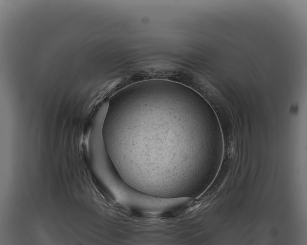 X0000089951108200707061115