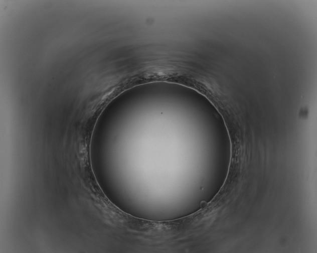 X0000089951109200707061115