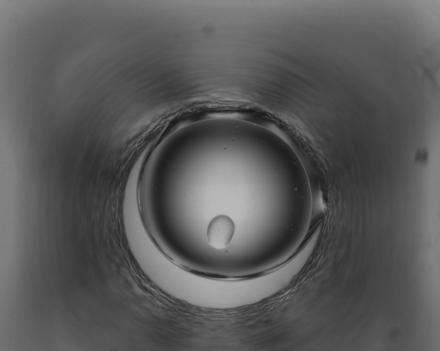 X0000089951110200707061115