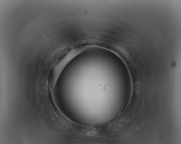 X0000089951111200707061115