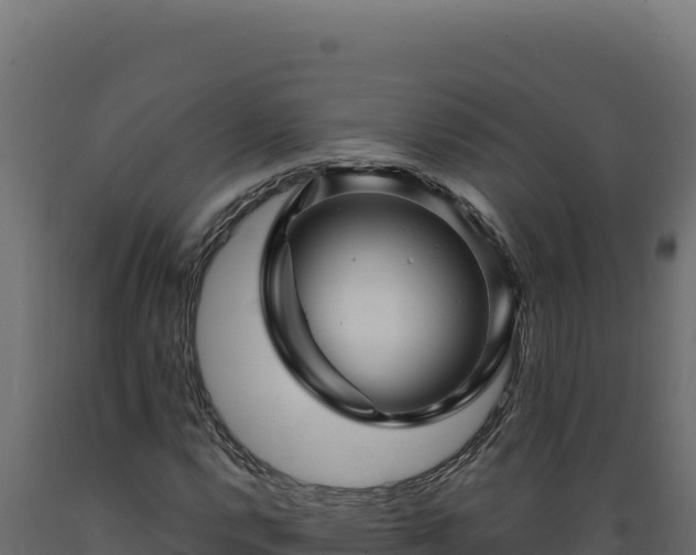X0000089951112200707061115