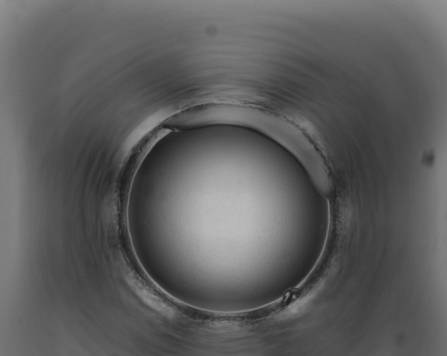 X0000089951114200707061115