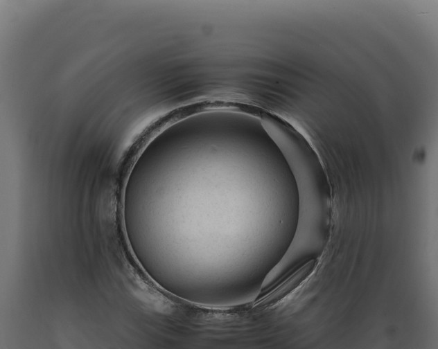 X0000089951115200707061115