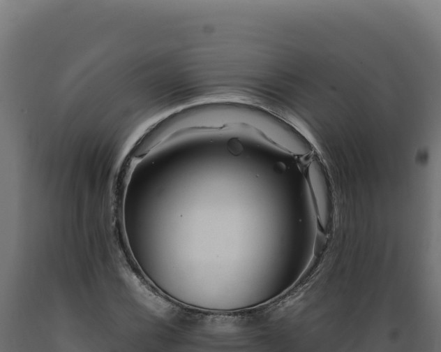 X0000089951116200707061115