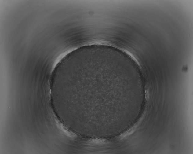 X0000089951117200707061115