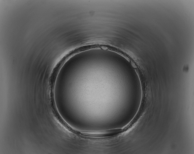 X0000089951118200707061115
