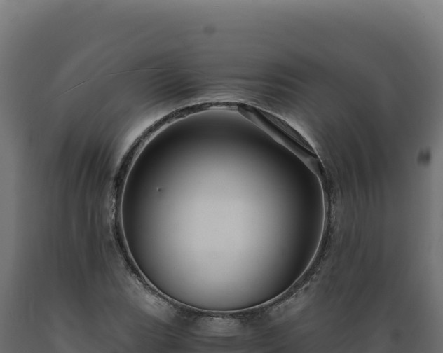 X0000089951119200707061115