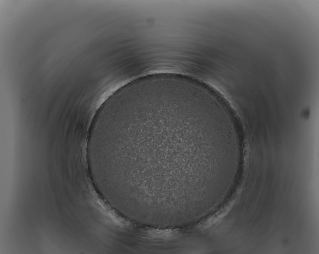 X0000089951121200707061115