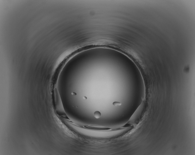 X0000089951122200707061115