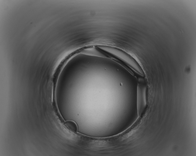 X0000089951123200707061115