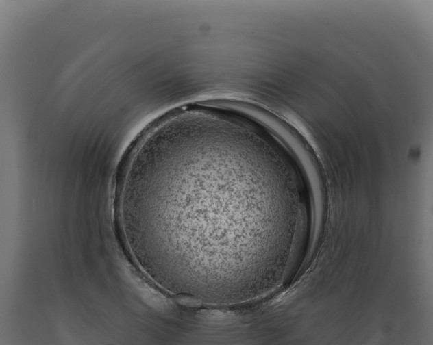 X0000089951124200707061115