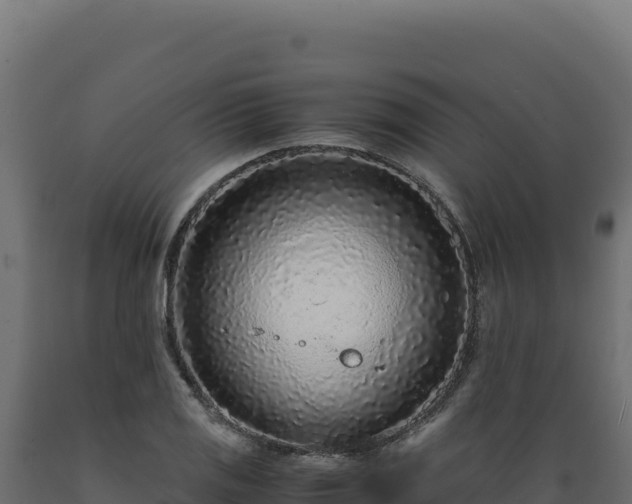 X0000089951125200707061115