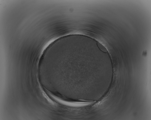 X0000089951127200707061115