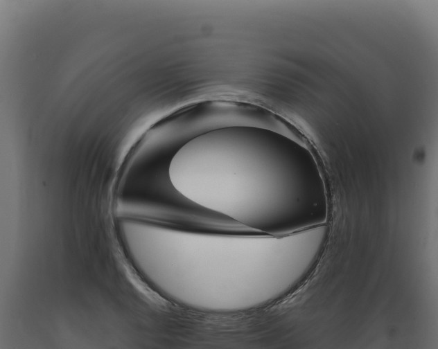 X0000089951128200707061115