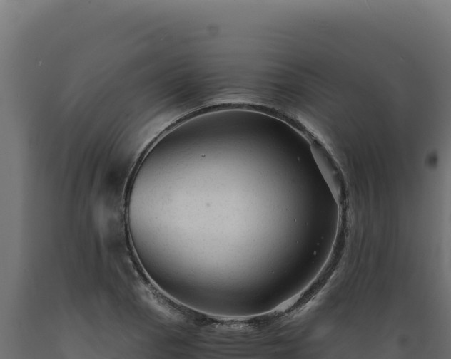 X0000089951129200707061115