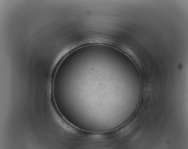 X0000089951130200707061115