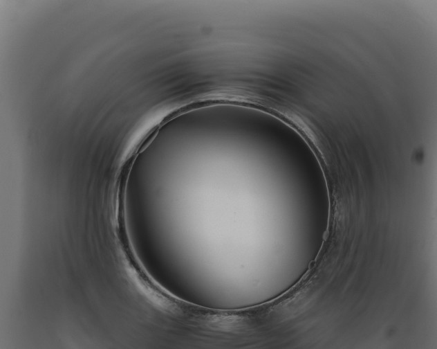 X0000089951131200707061115