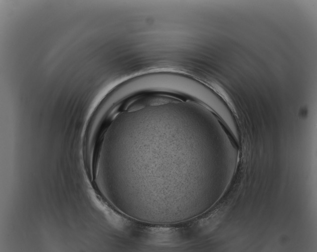 X0000089951132200707061115