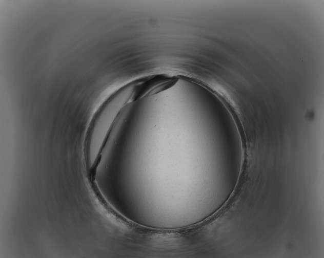 X0000089951133200707061115