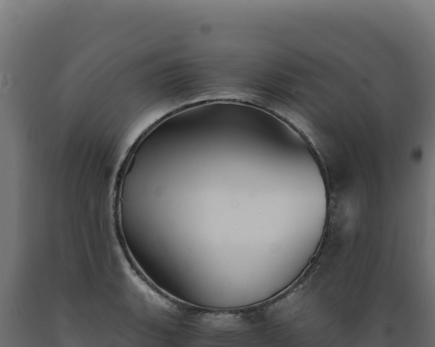 X0000089951135200707061115