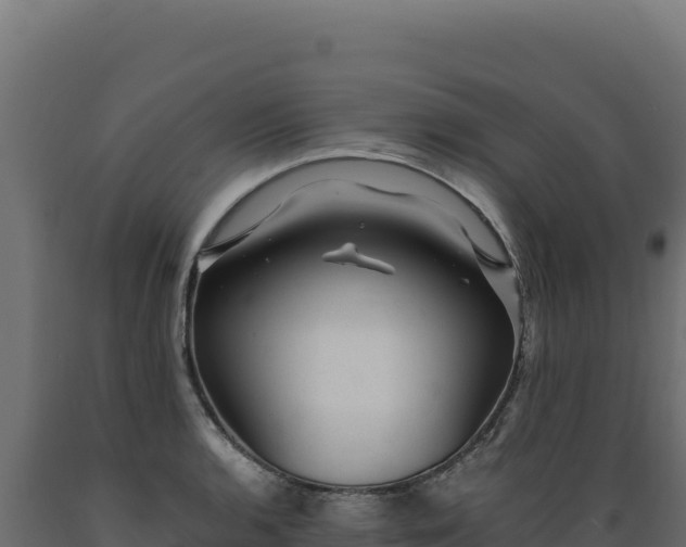 X0000089951136200707061115