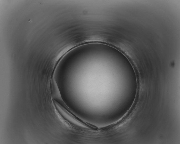 X0000089951137200707061115