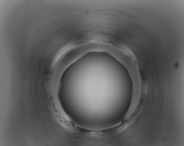 X0000089951138200707061115