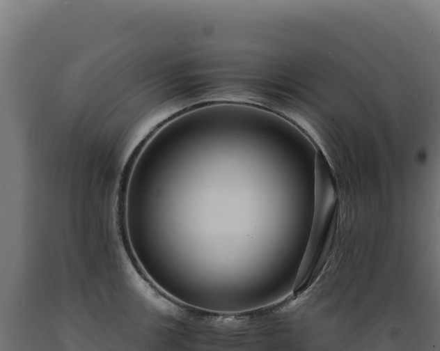 X0000089951139200707061115