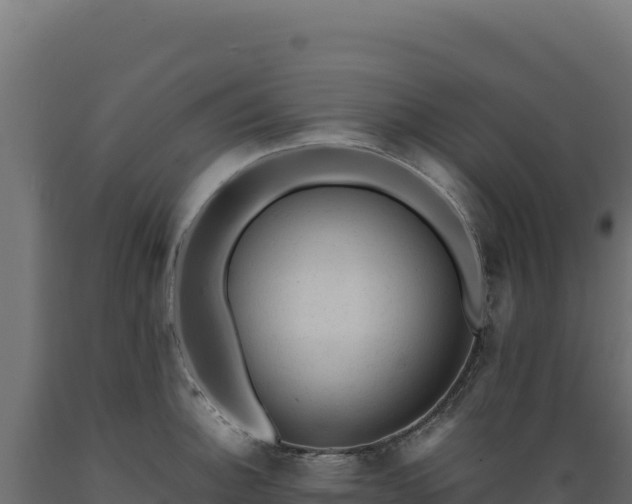 X0000089951140200707061115