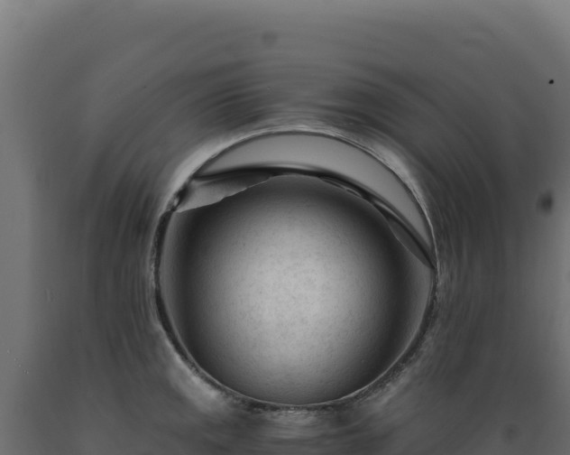 X0000089951141200707061115