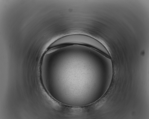 X0000089951142200707061115