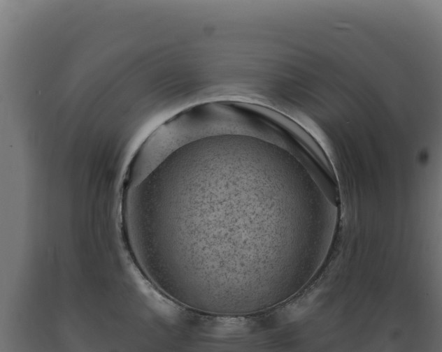 X0000089951144200707061115