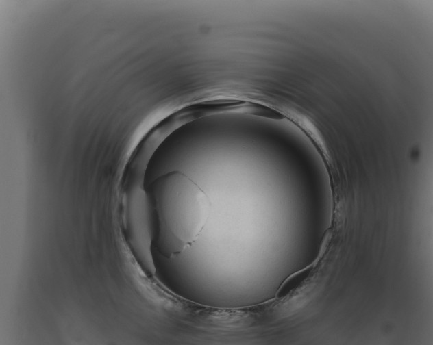 X0000089951146200707061115