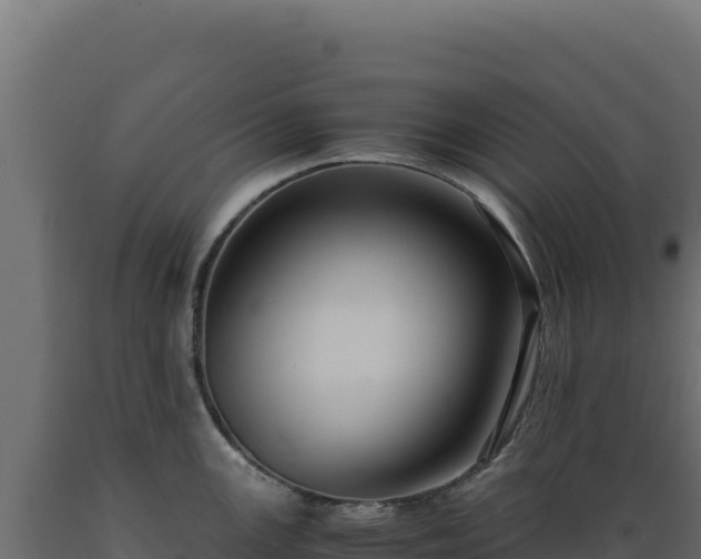 X0000089951147200707061115