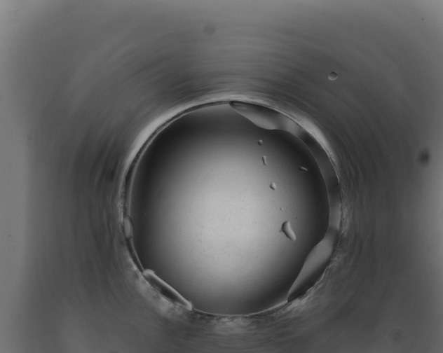 X0000089951148200707061115