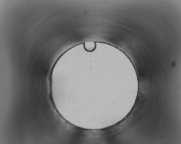 X0000089951150200707061115