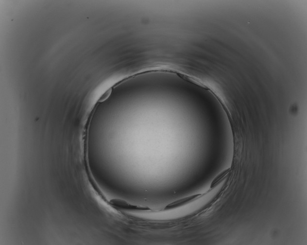X0000089951151200707061115