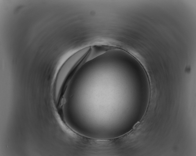 X0000089951152200707061115
