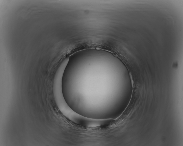 X0000089951153200707061115