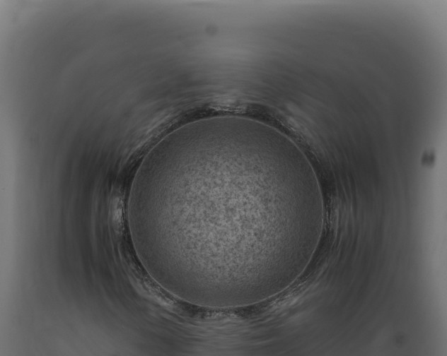 X0000089951154200707061115