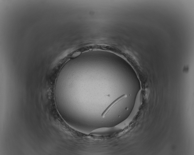 X0000089951159200707061114