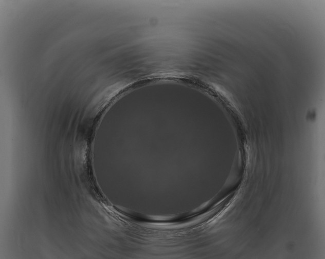 X0000089951161200707061114