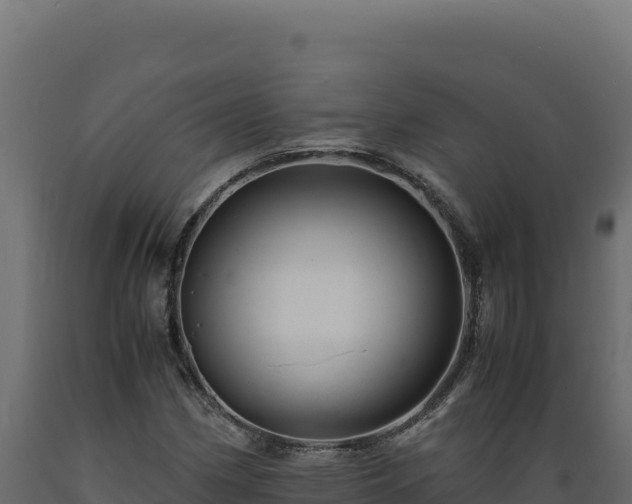 X0000089951162200707061114
