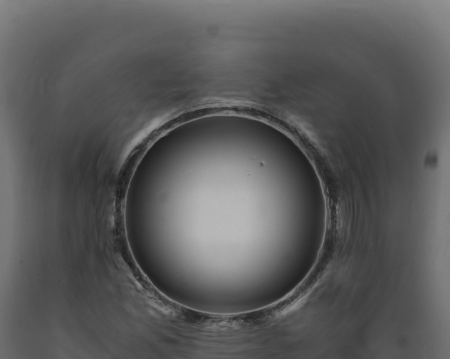 X0000089951165200707061114