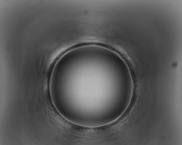 X0000089951167200707061114