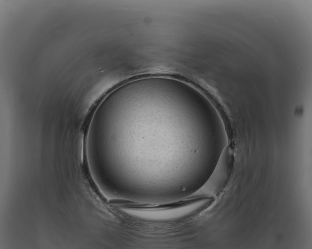 X0000089951171200707061114