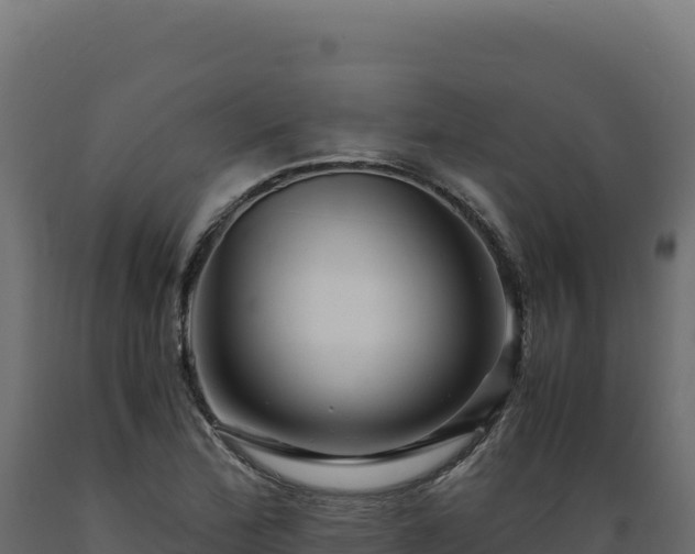 X0000089951172200707061114