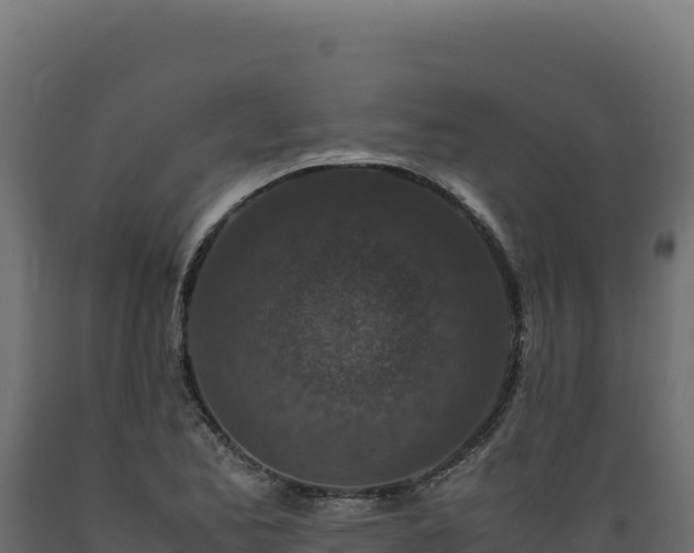 X0000089951173200707061114