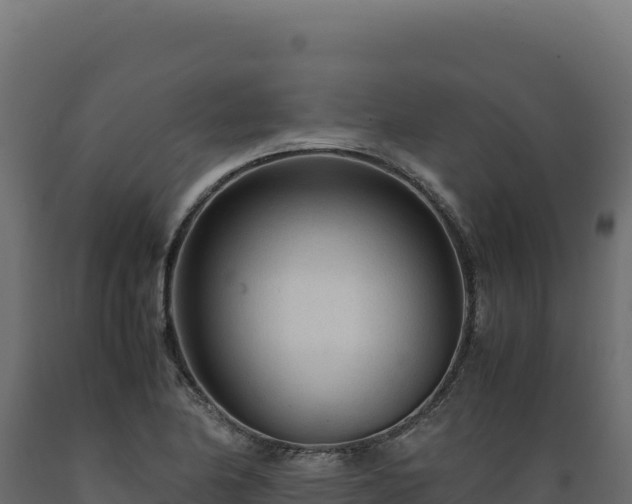 X0000089951174200707061114