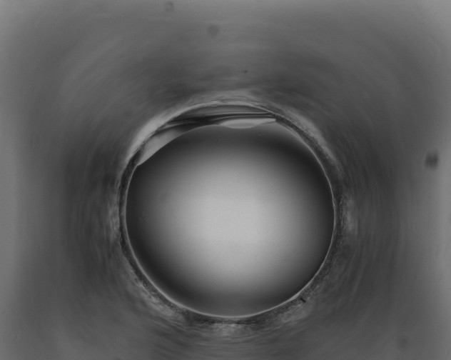 X0000089951176200707061114